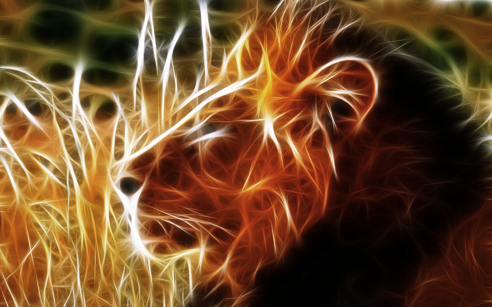 3D Lion HD Wallpaper_2.jpg