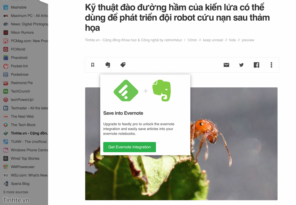 Feedly_Pro_Evernote.jpg