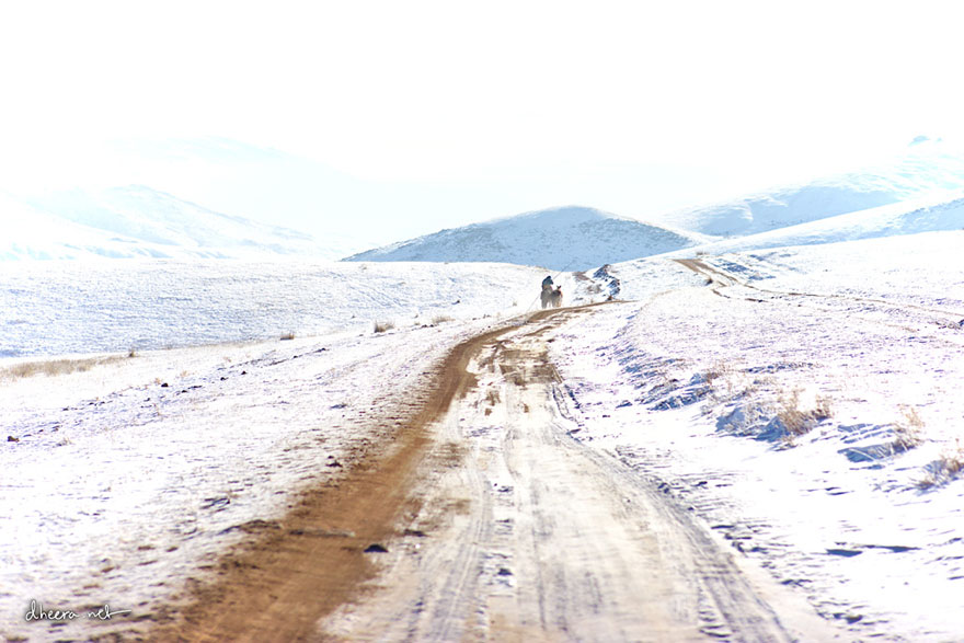 travel-landscape-photography-winter-dheera-venkatraman-mongolia-3.jpg