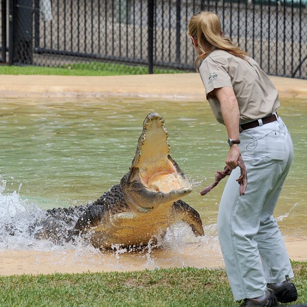 16-year-old-bindi-irwin-crocodile-hunter-fathers-legacy-australia-zoo-42.jpg