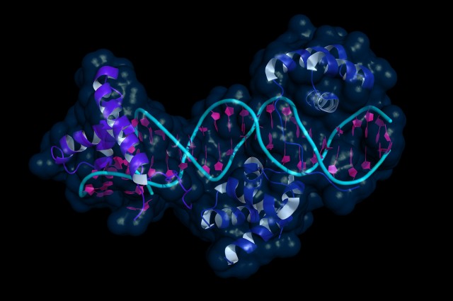 Tinhte-DNA.jpg