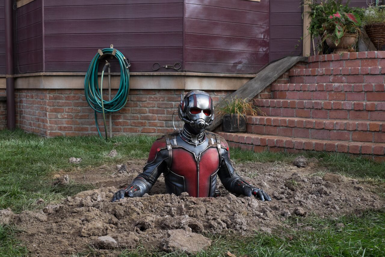 ant-man (6).jpg