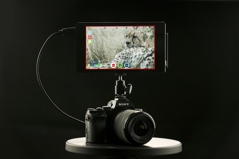 Atomos-Shogun-NAB-2014-Sony-Mount.jpg