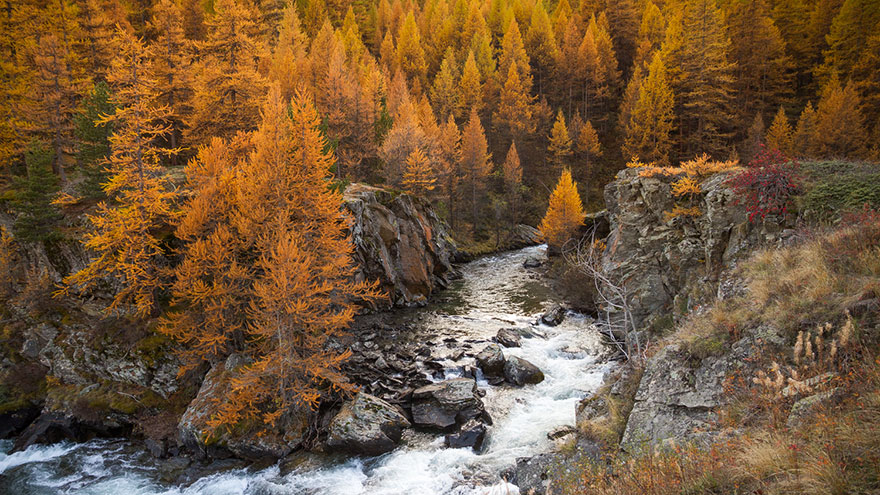 La-Clare-amazing-french-golden-valley-photos-cinemagraphs1__880.jpg