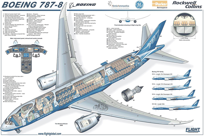 Boeing_787-8.jpg