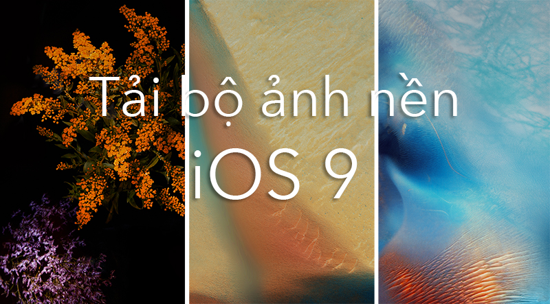 iPhone6papers - am83-ios9-apple-wave-rainbow-sea-ocean-dark-bw