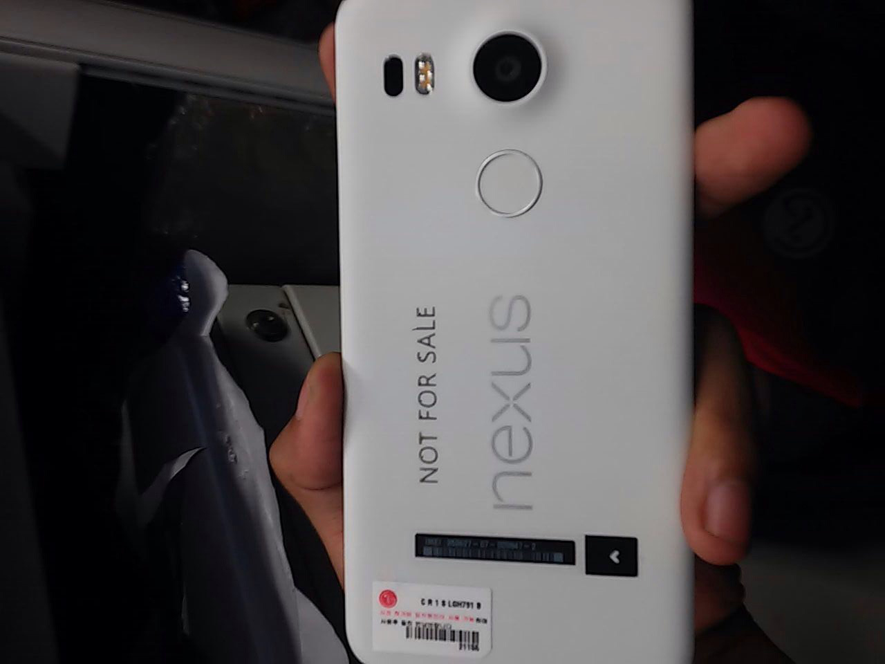 nexus 5.jpg