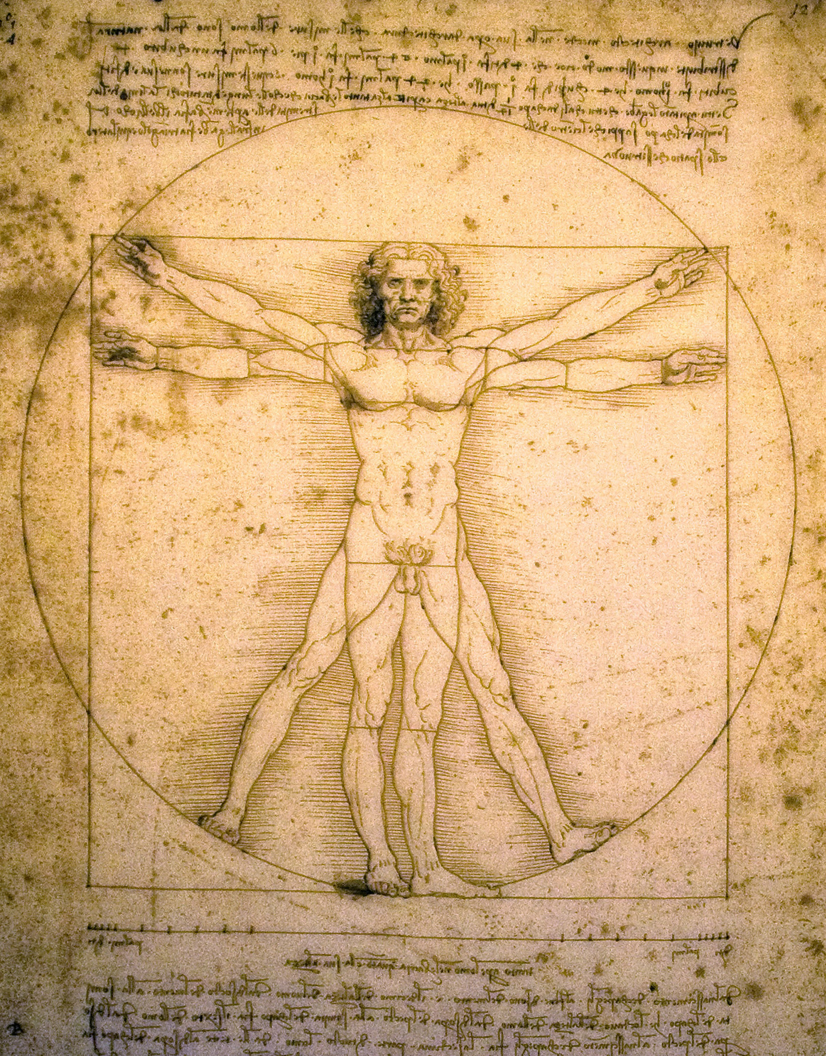 Vitruvian_Man.jpg