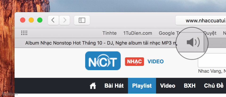 Mute_tab_Safari.jpg