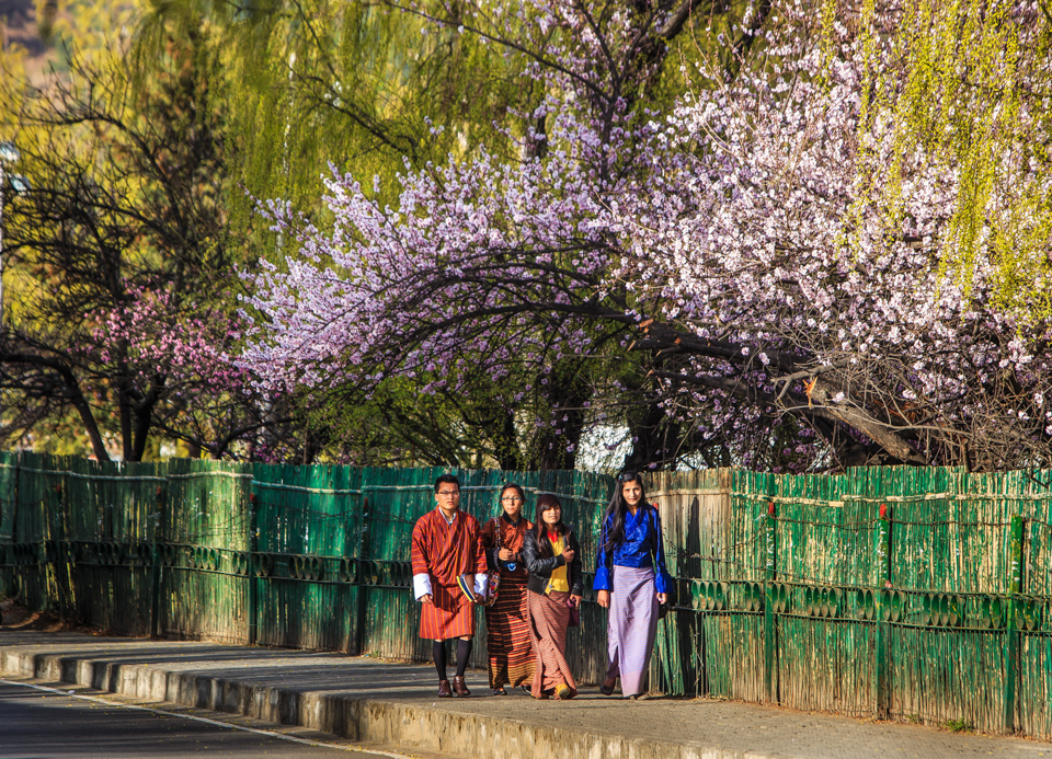 Camera Tinh Te_My Bhutan_Phố Xuân - Nguyễn Thanh Hải.jpg