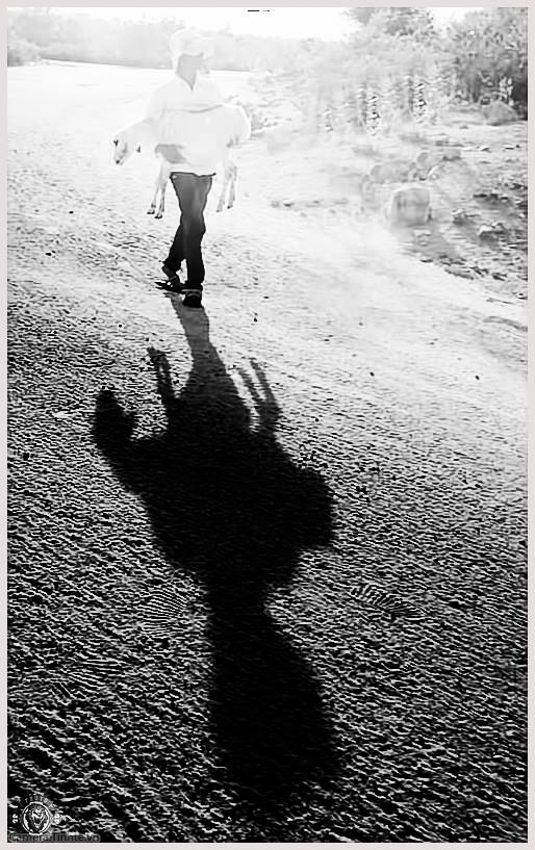 shadow-camera.tinhte.vn--7.jpg