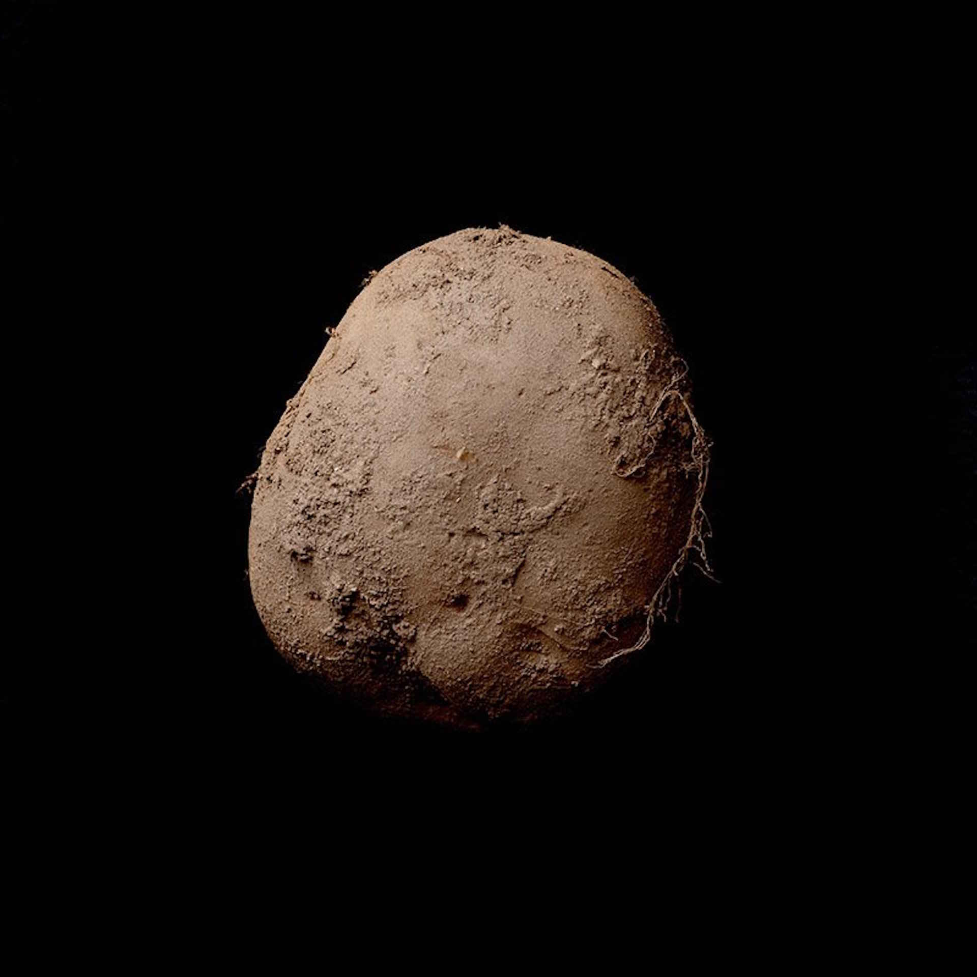 Potato345.jpg