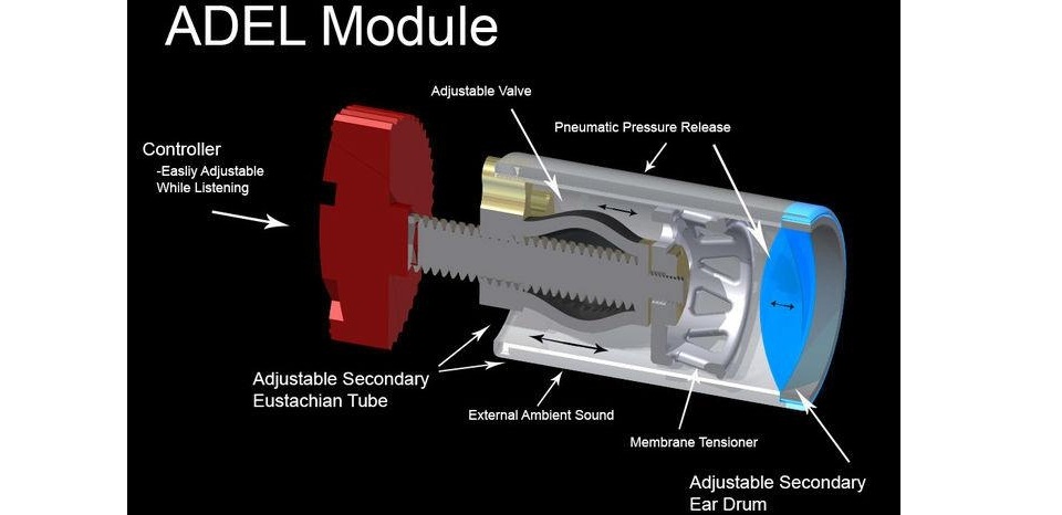 adel-in-ear-module-diagram-699x466.jpg