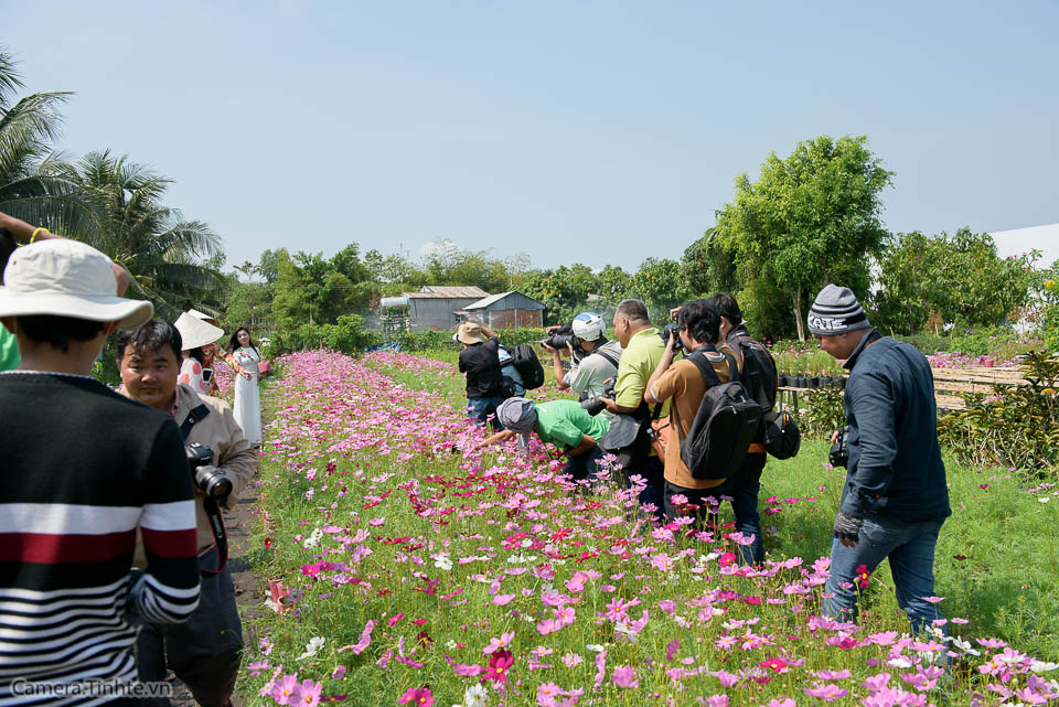 Camera Tinh Te_Offline Sadec__DSC0382.jpg