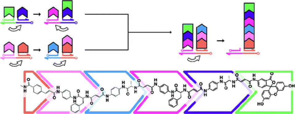 polymer_TInhte_6.gif