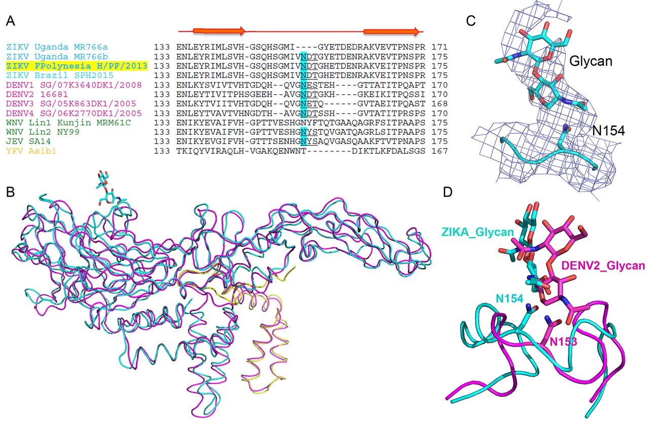 Virus_Zika_Tinhte_2.jpg