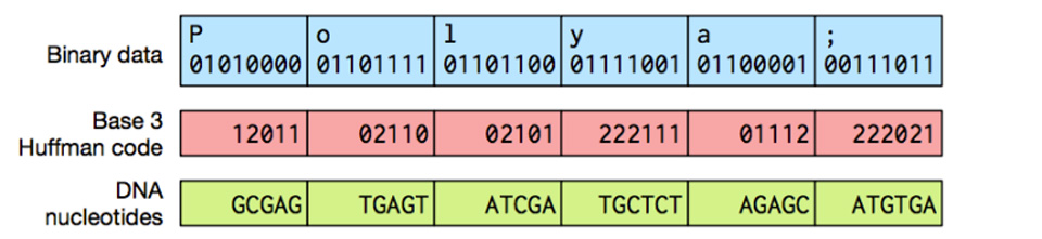 luu_du_lieu_DNA_Tinhte.jpg