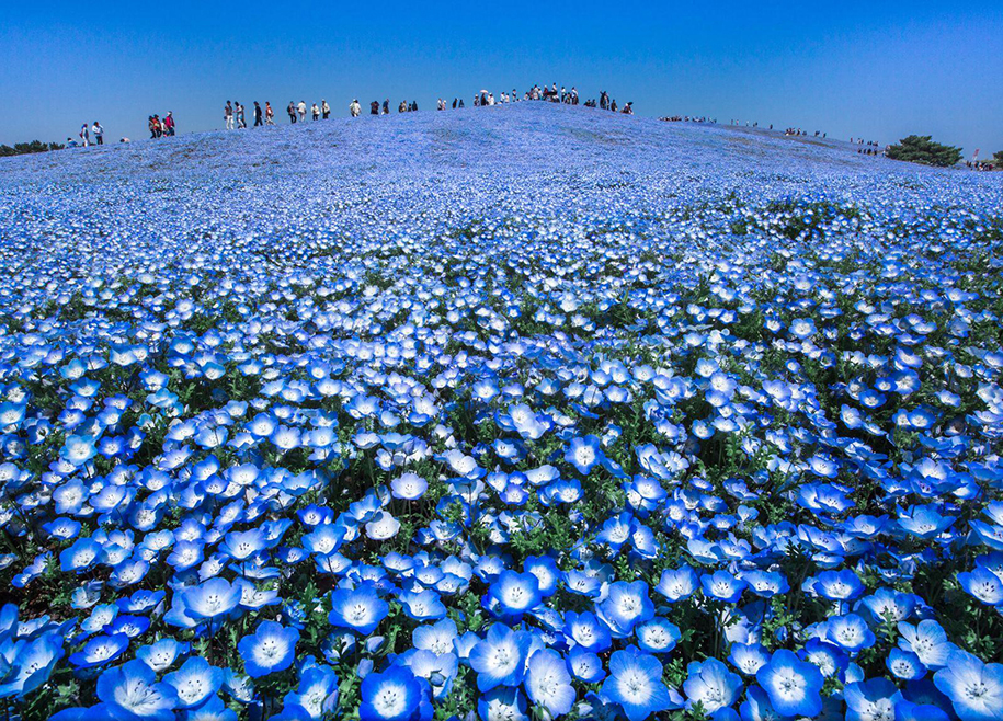 camera.tinhte.vn-national-geographic-travel-photographer-of-the-year-2016-17.jpg