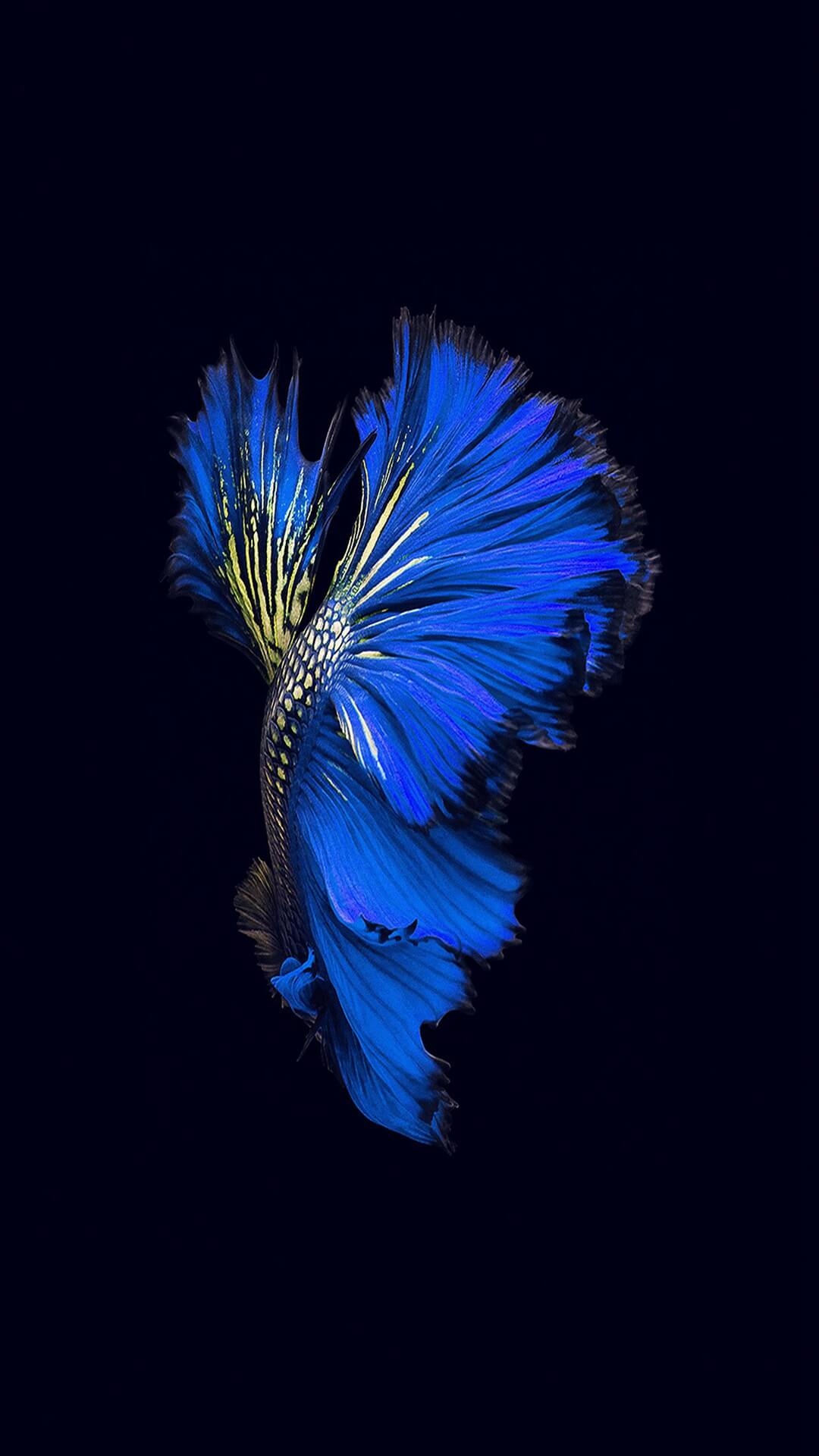 Mời tải về bộ hình nền Bphone 2017: Cây cỏ, mây trời và cả chim và bướm |  Hoàng Hà Mobile