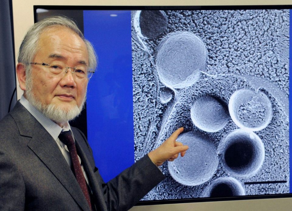 yoshinoriohsumi-tinhte.jpg