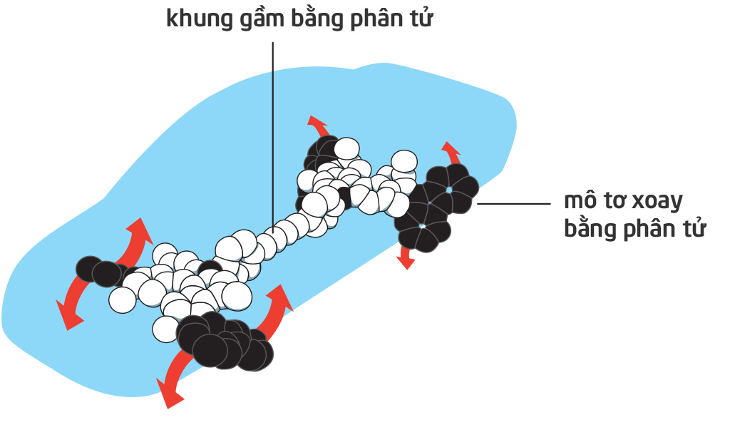 xe_phan_tu.jpg