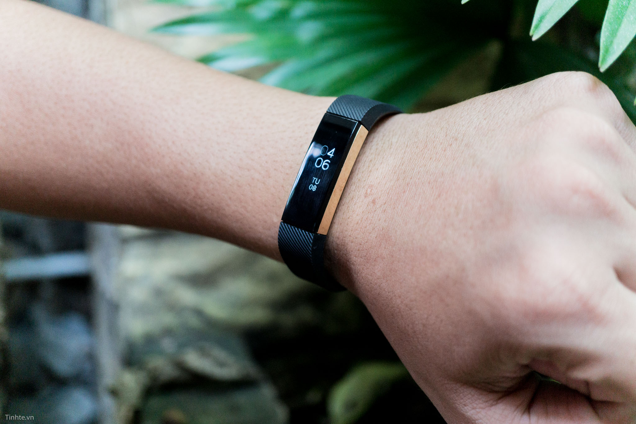 fitbit-alta-gold-tinhte-10.jpg