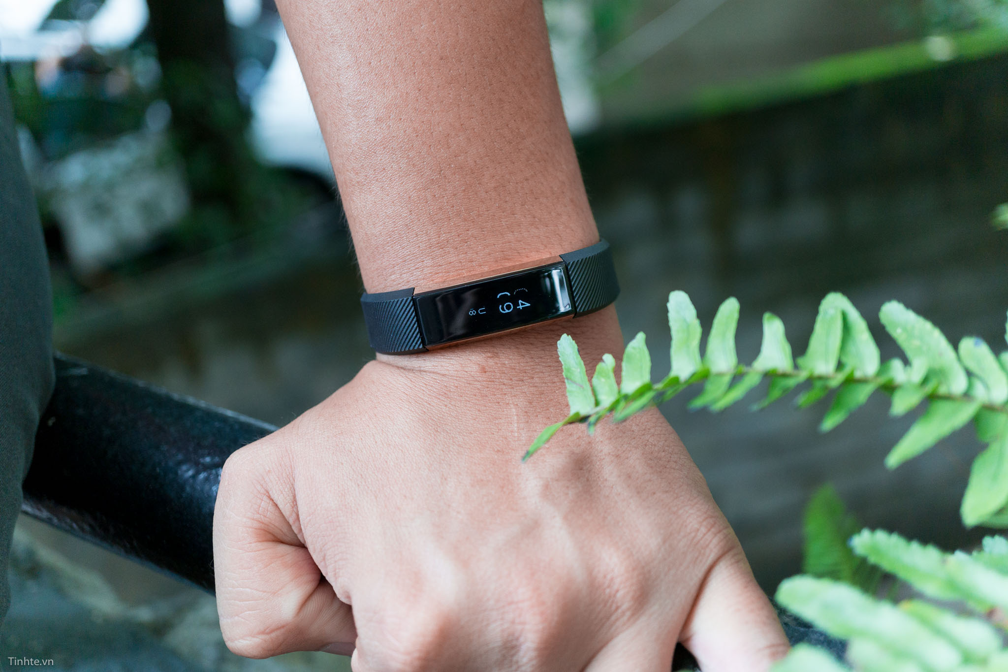 fitbit-alta-gold-tinhte-11.jpg