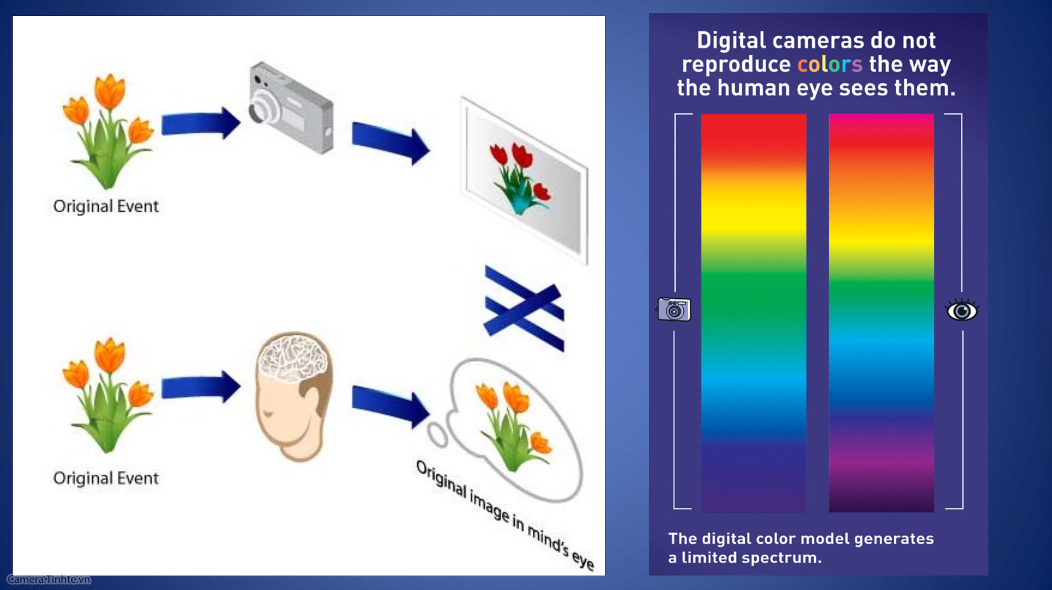 Workshop chia sẻ về kinh lọc filter - Camera.tinhte.vn-46.jpg