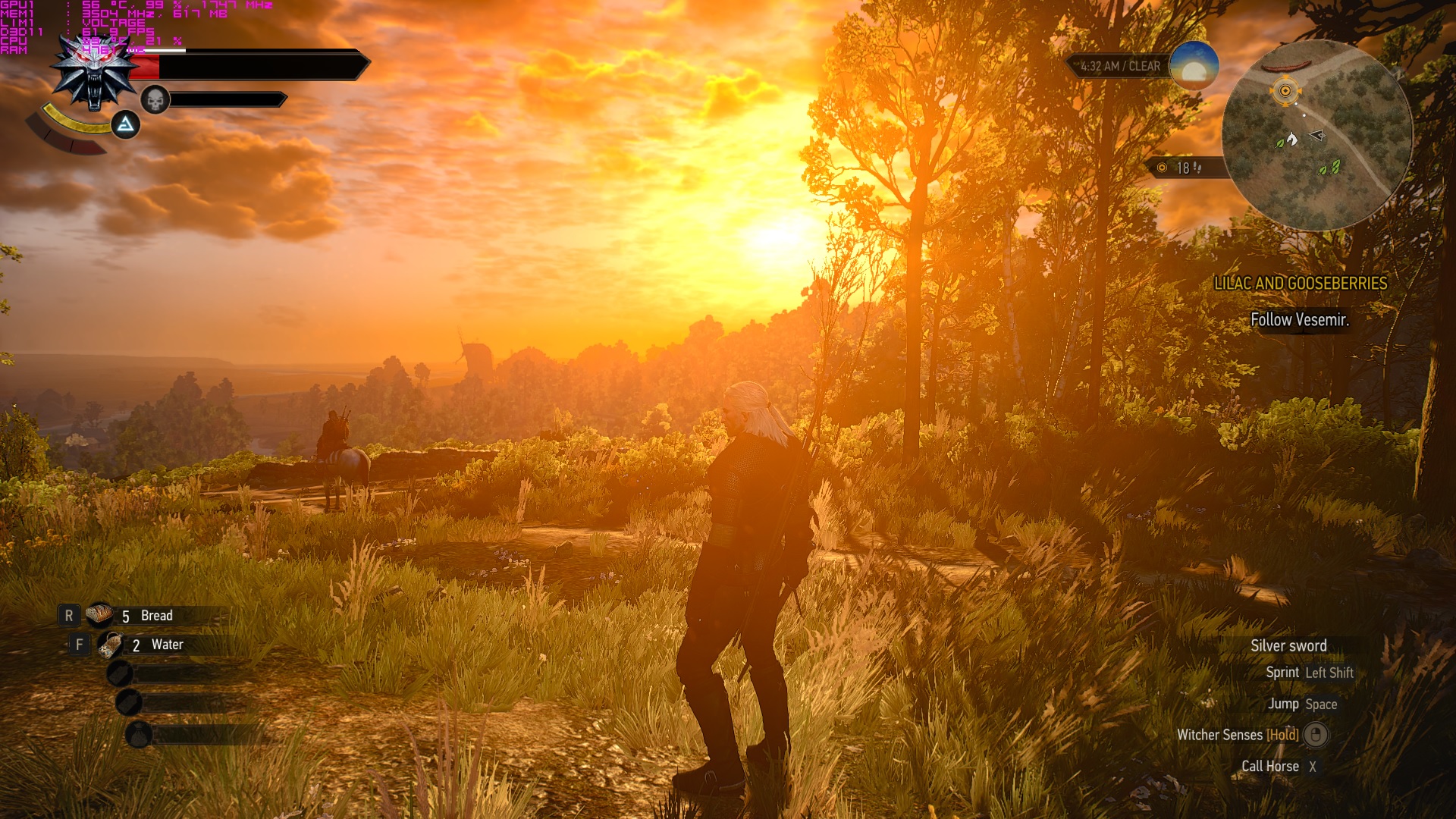 Screenshot The Witcher 3 (GE62).jpg