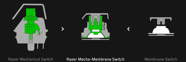 ornata-switches.jpg