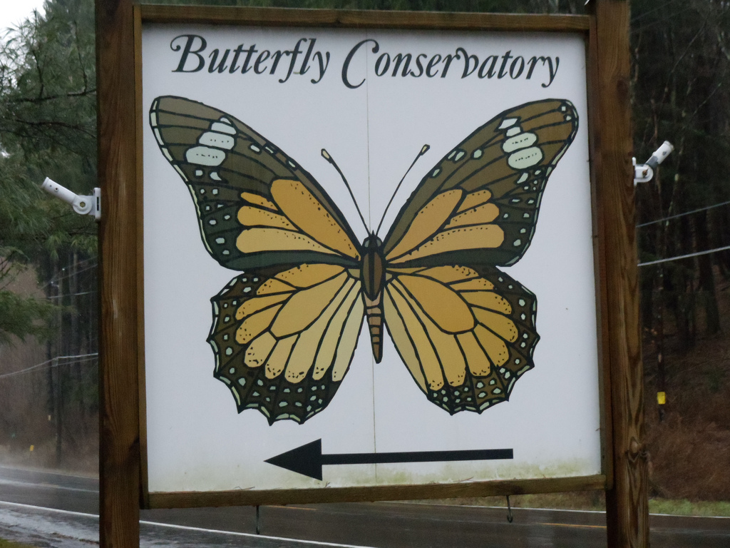 Popp viện bảo tồn loài bướm.jpg