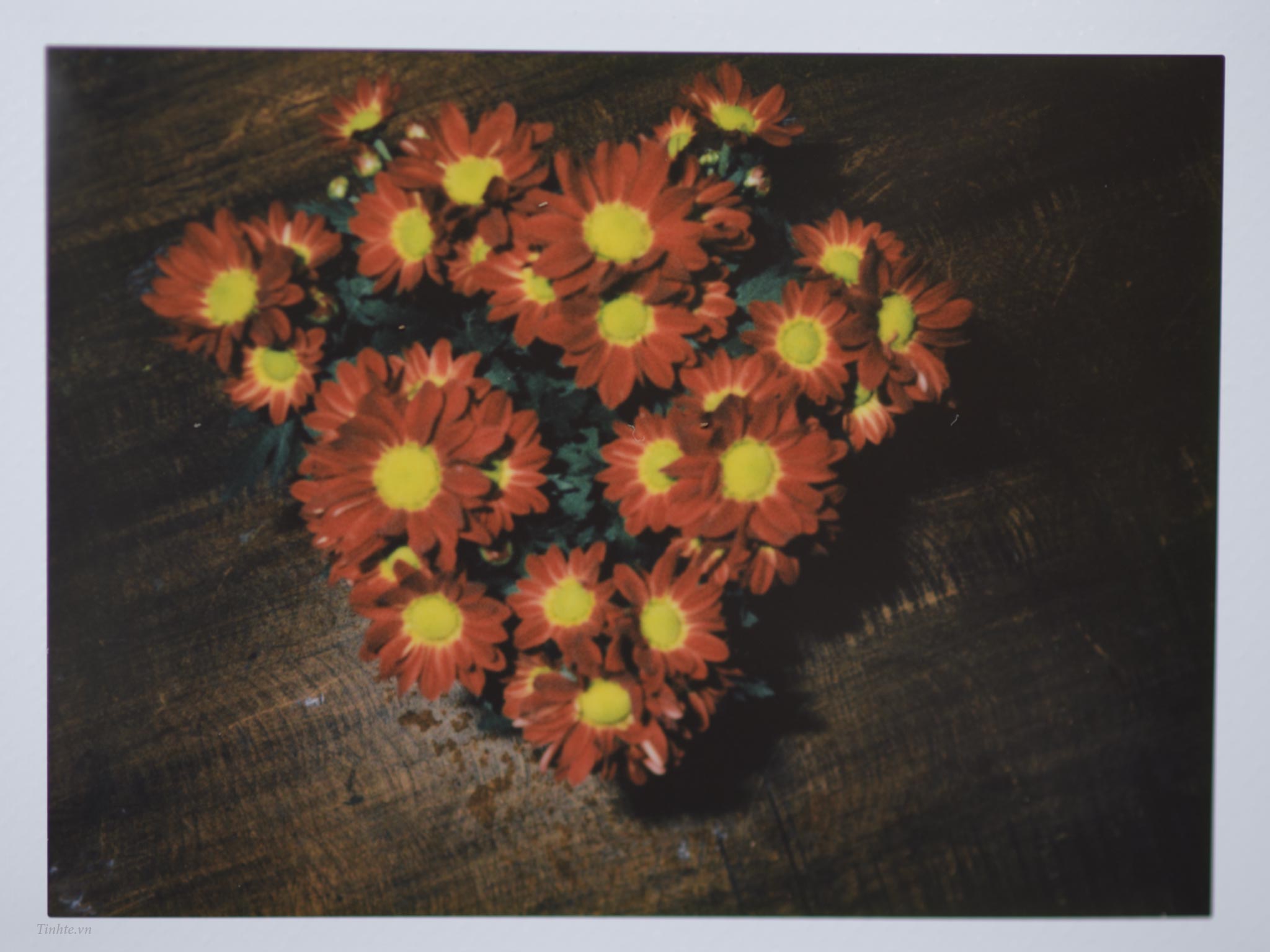 Leica_Sofort_camera.tinhte.vn_07.jpg
