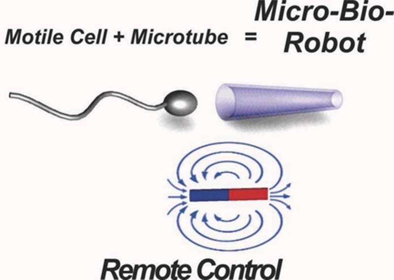 spermbot.jpg