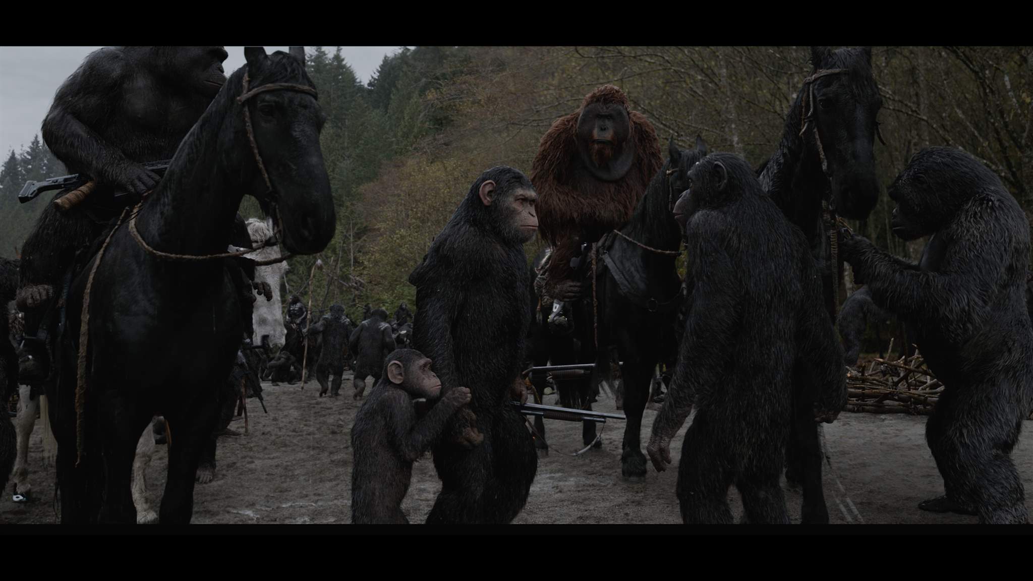 Планета обезьян революция 2014 субтитры обезьян. Планета обезьян вождь. Планета обезьян солдаты.
