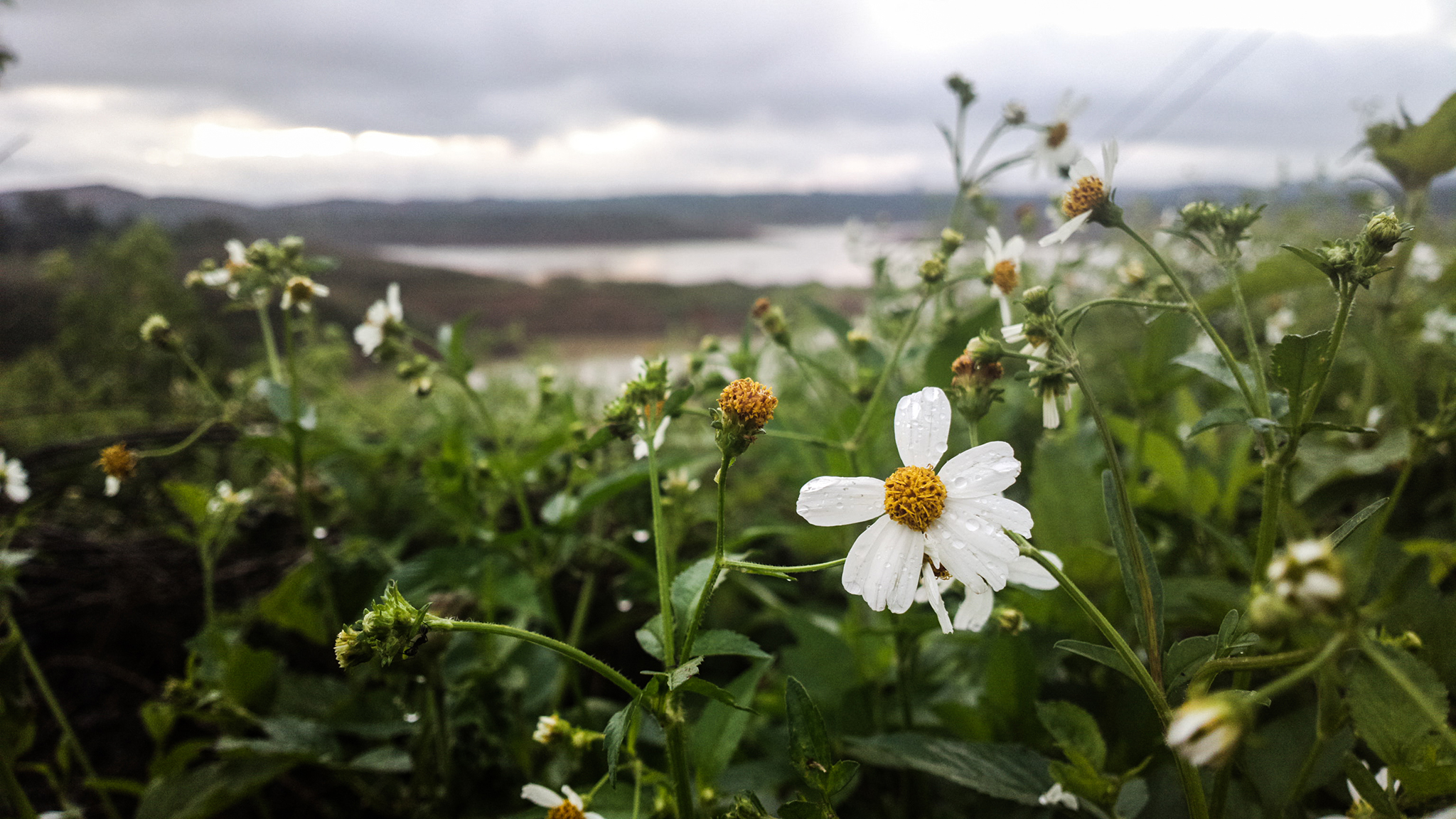 nokia-808-pureview-camera-tinhte-1.jpg