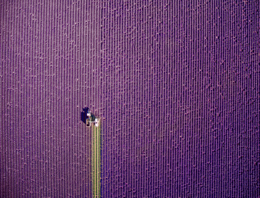 Valensole-drone-pic.jpg