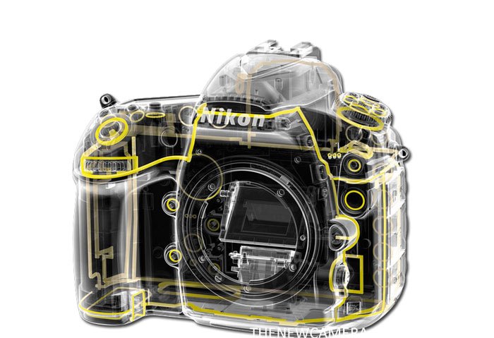 Nikon-D850-Nikon-D810.jpg