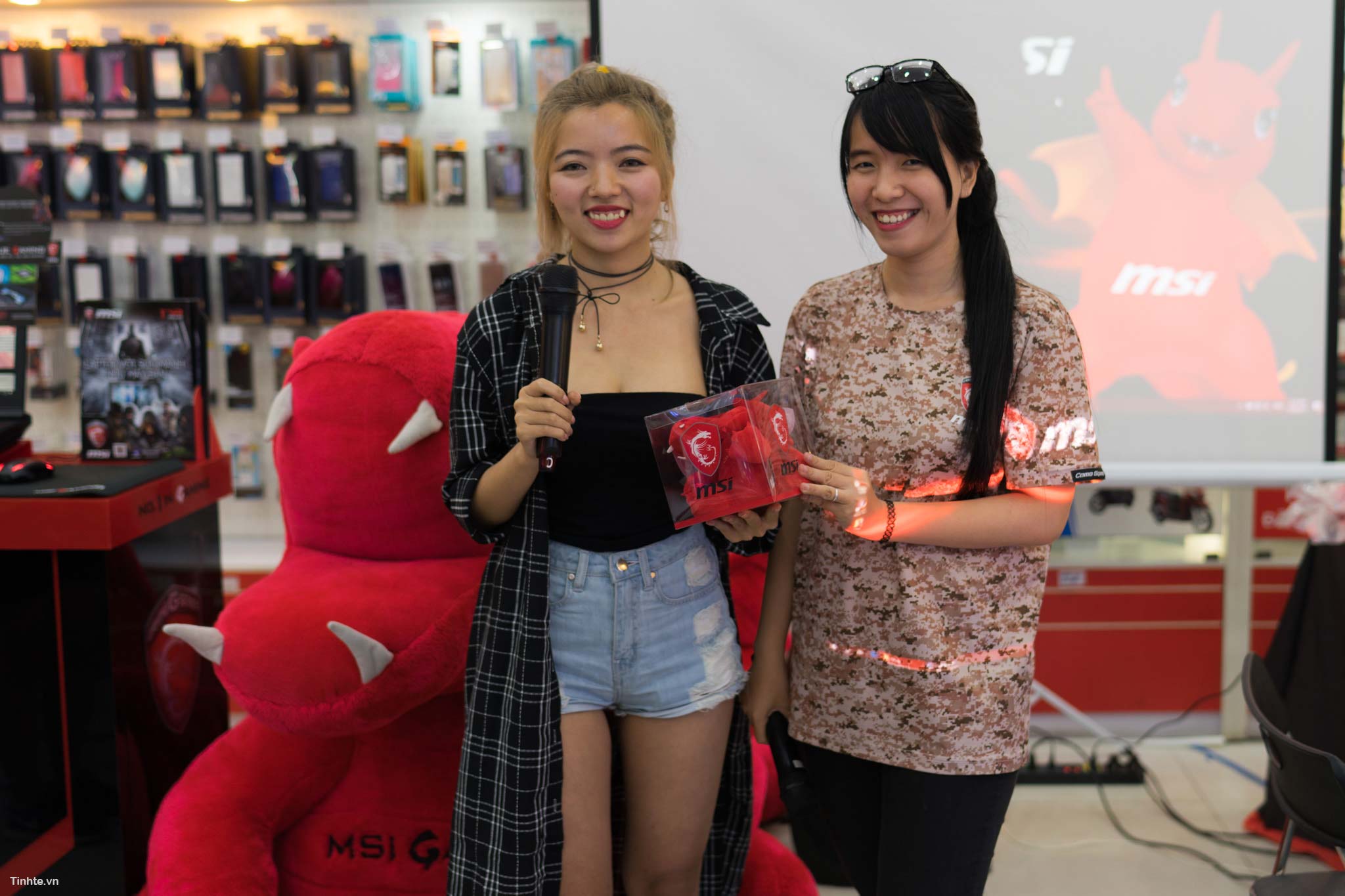 MSI_FPT-7.jpg