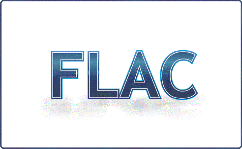 monospace_flac 2.gif