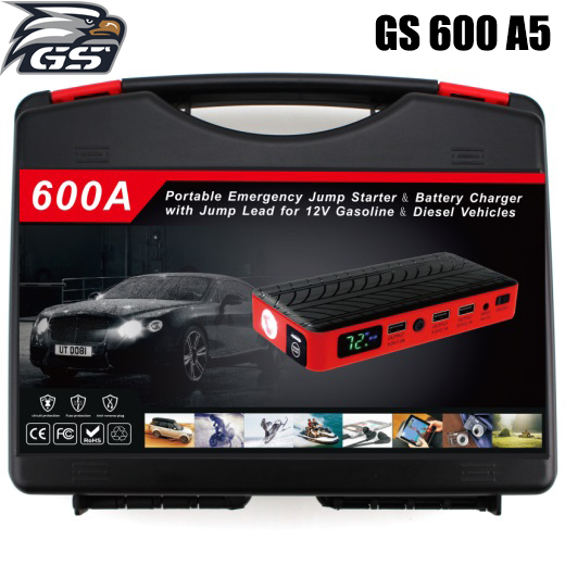 GS 600 A5 lo go.jpg