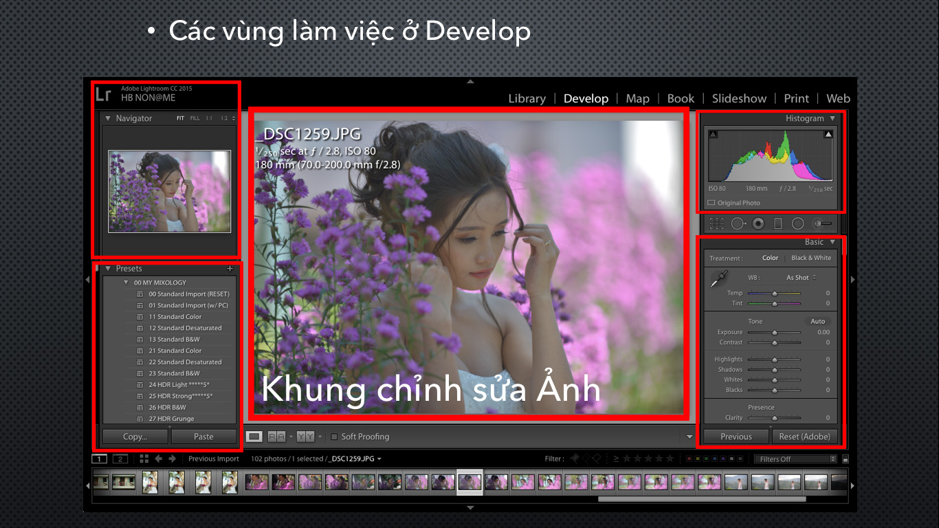 Camera.Tinhte_Huong dan Lightroom B1_Develop.jpg