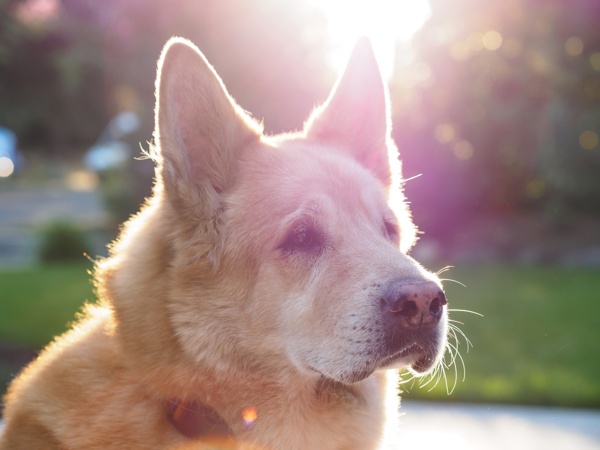 Olympus 45mm F1.2 Sample tinhte.vn 5.jpg