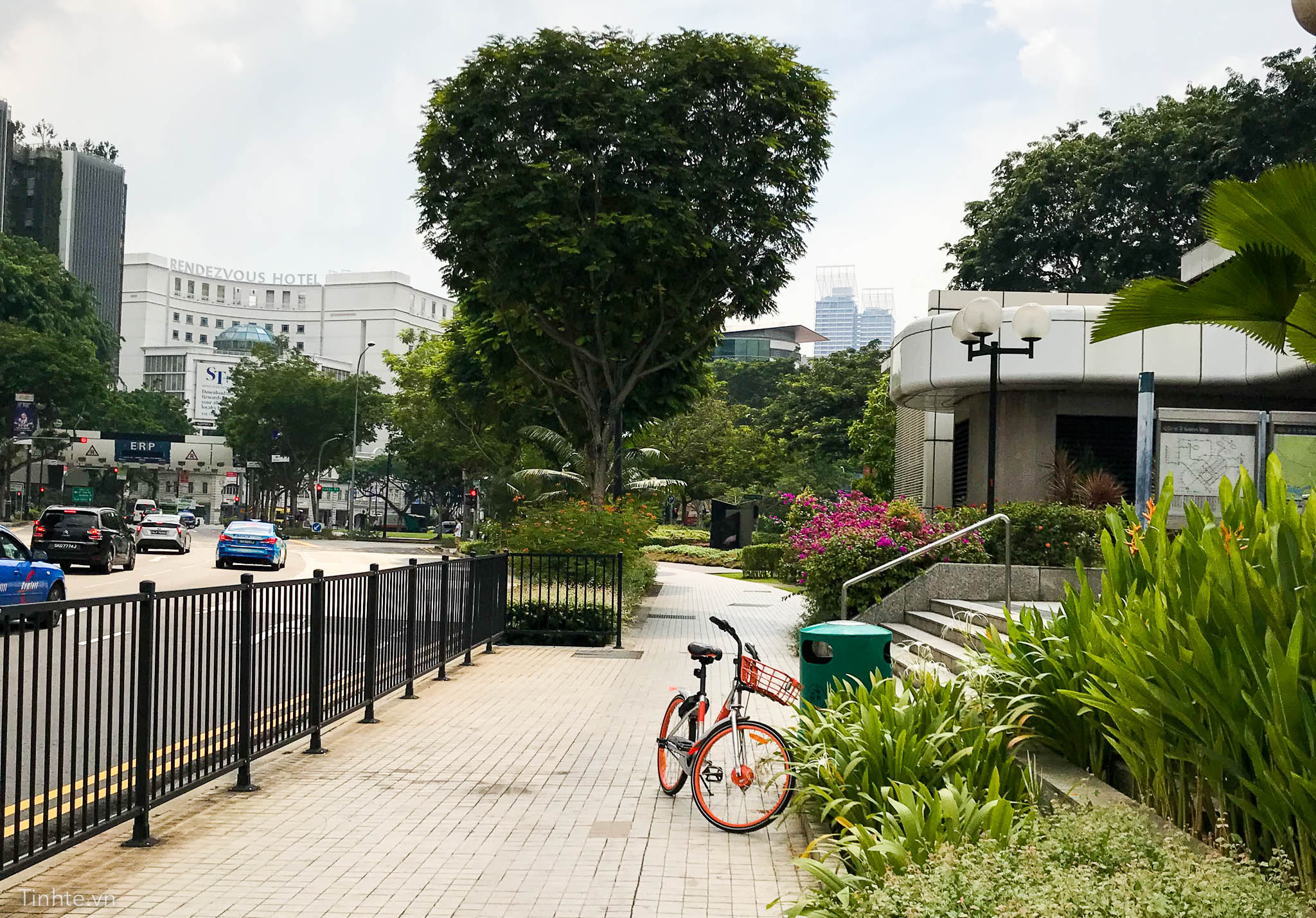 tinhte-thue-xe-dap-singapore-4.jpg