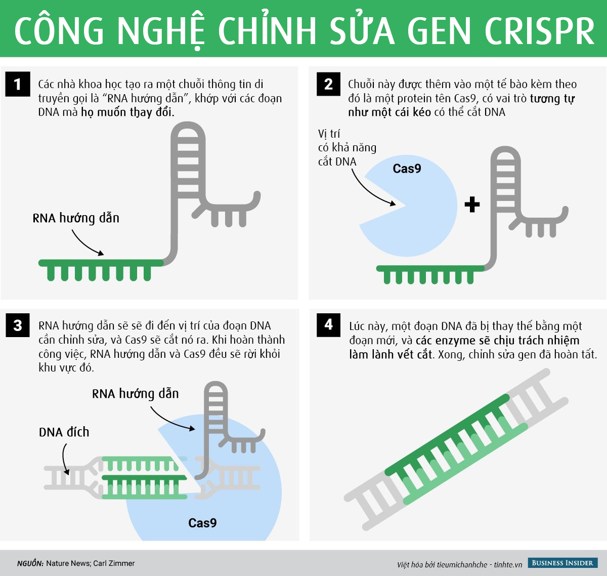 crispr-infographic-tinhte-01.png