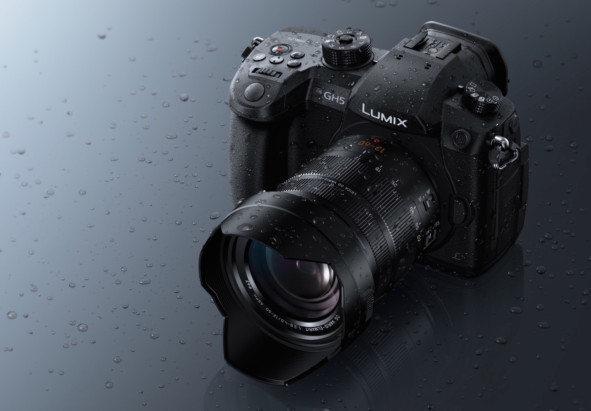 Panasonic Leica DG Vario-Elmarit 12-60mm f2.8-4 Power OIS.jpeg
