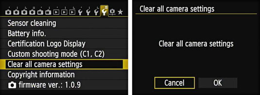 Reset Canon.jpg