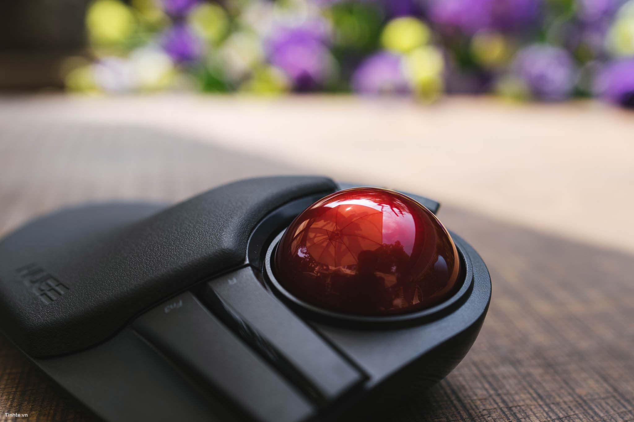Elecom_trackball-4.jpg