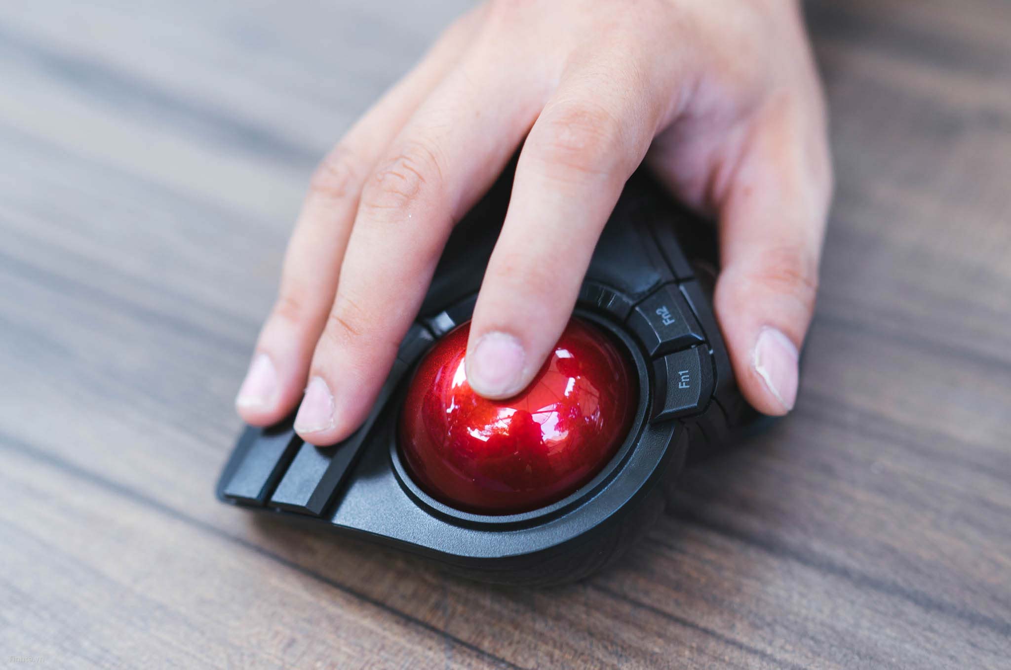 Elecom_trackball-14.jpg