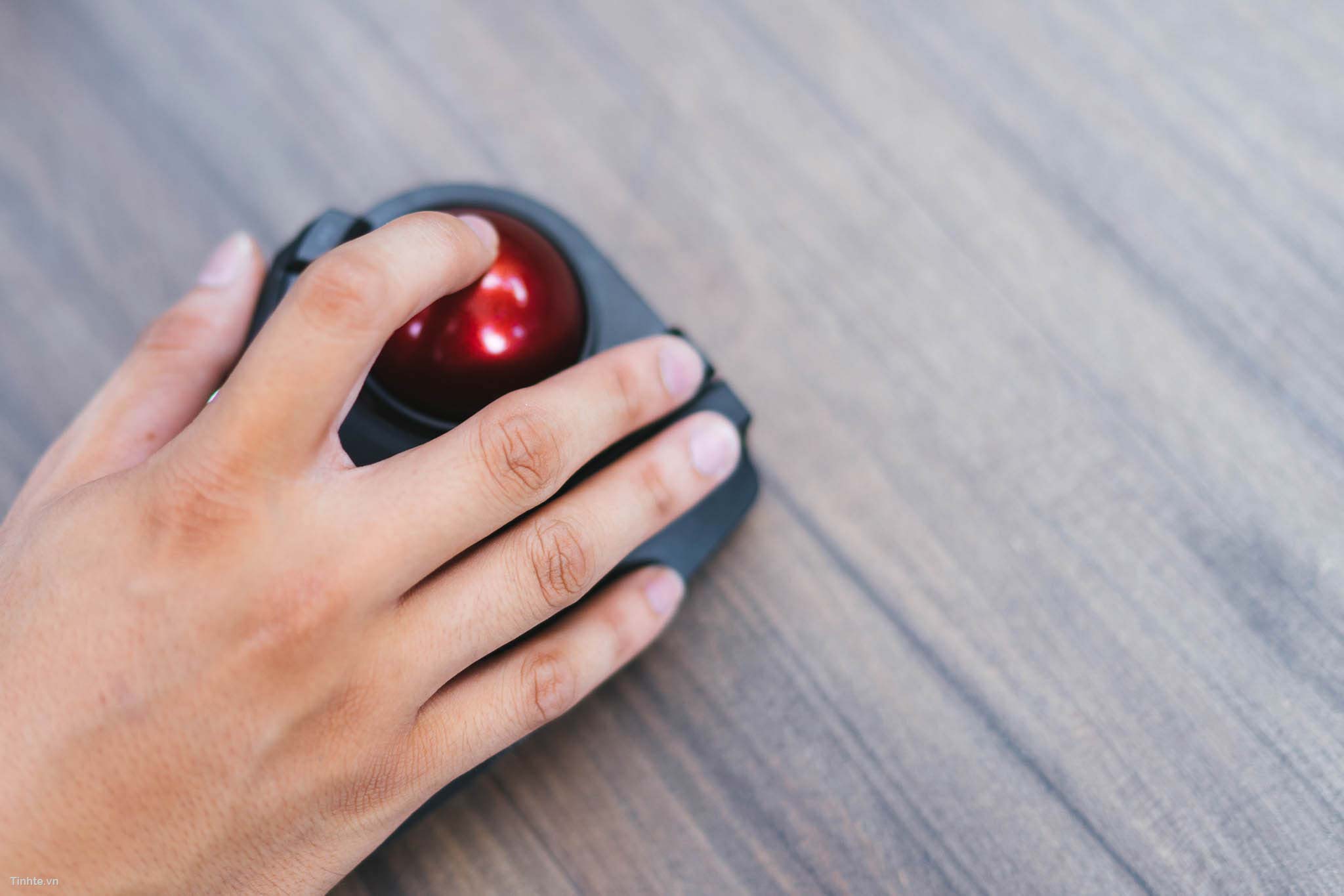 Elecom_trackball-13.jpg