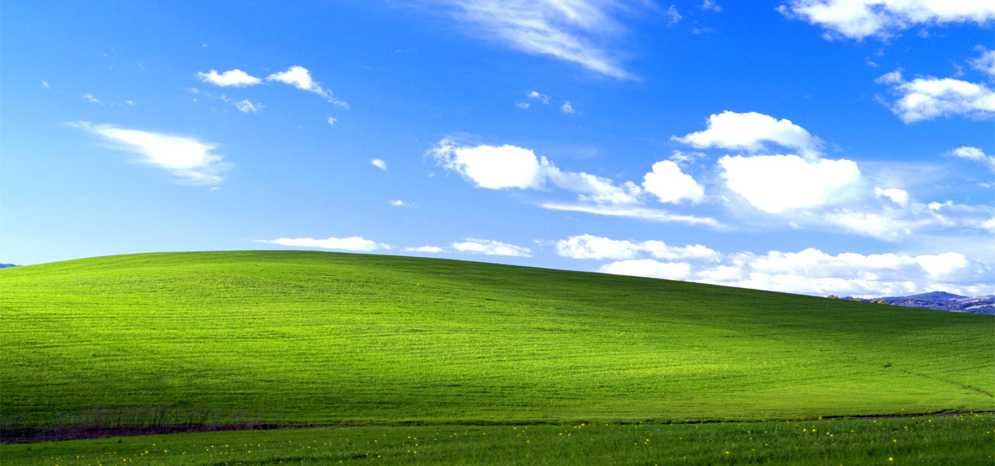 Microsoft chỉnh sửa lại hình nền huyền thoại Bliss Windows XP  VNZoom   Cộng đồng Chia Sẻ Kiến Thức Công Nghệ và Phần Mềm Máy Tính